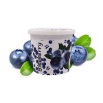 Ice Frutz Blueberry 120gr